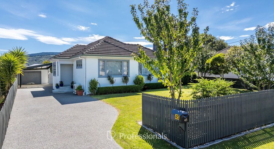  at 45 Golders Road, Elderslea, Upper Hutt, Wellington