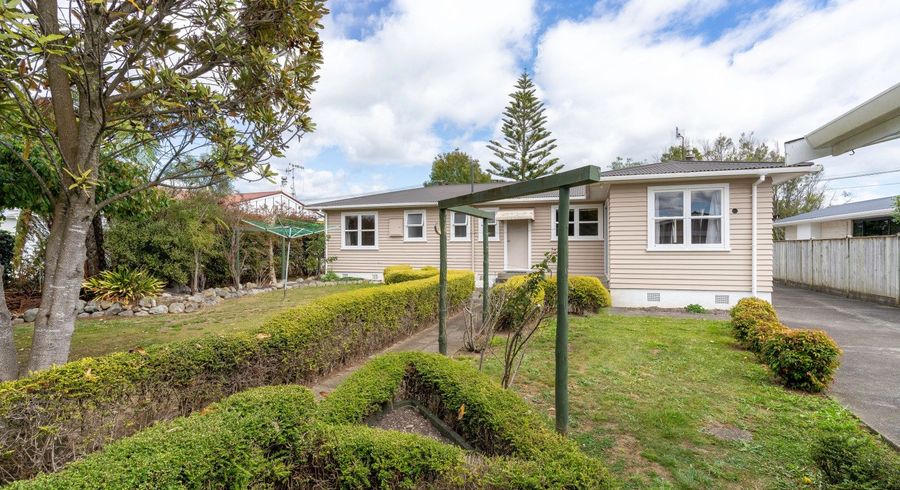  at 42 Elizabeth Street, Levin, Levin