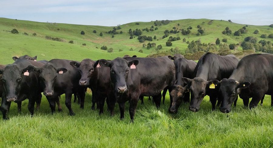  at 895 Wairamarama-Onewhero Road, Meremere, Waikato, Waikato