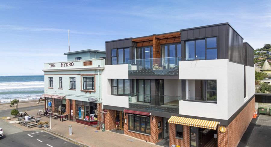  at 1/246 Forbury Road, Saint Clair, Dunedin, Otago