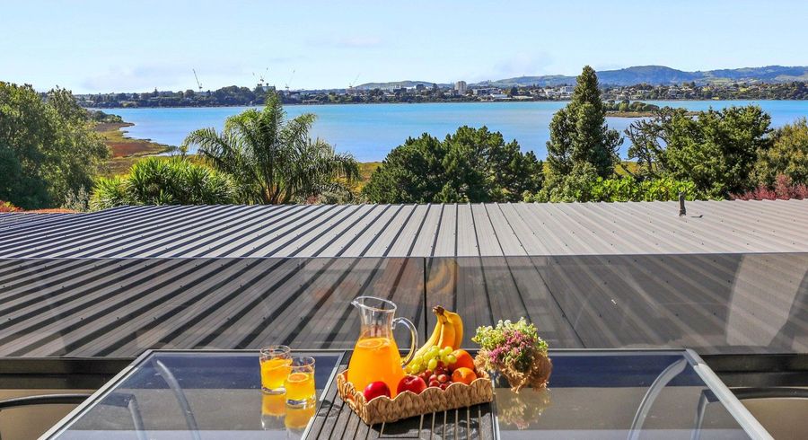  at 3/228 Grange Road, Otumoetai, Tauranga, Bay Of Plenty