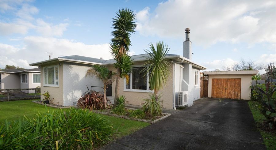  at 50 Birmingham Street, Takaro, Palmerston North