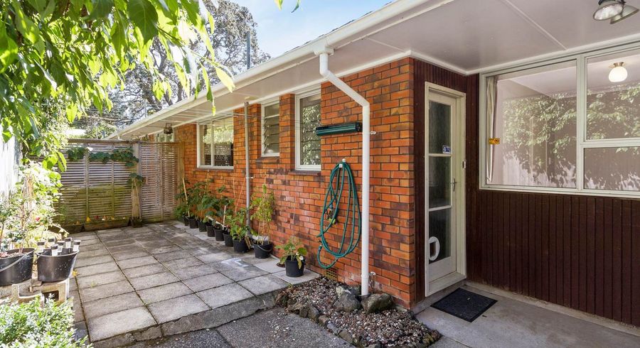  at 2/20 Poronui Street, Mount Eden, Auckland City, Auckland