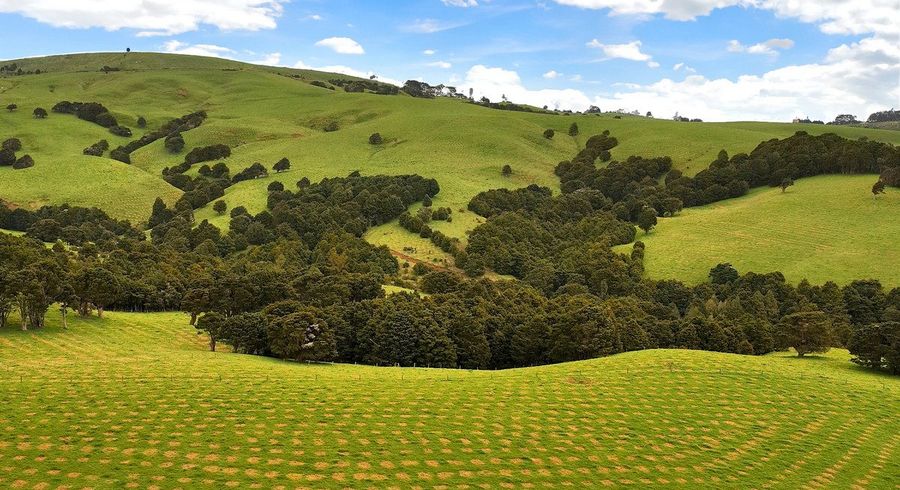  at Aranga Forest, Dargaville, Kaipara, Northland