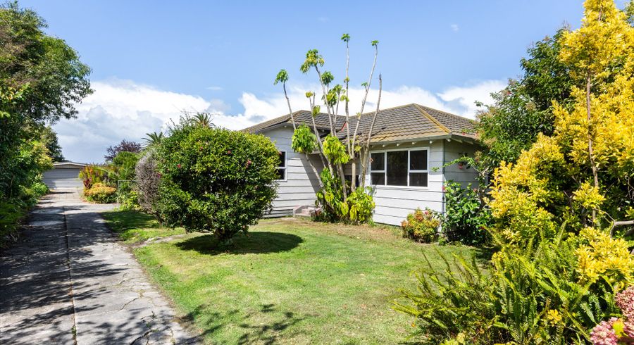  at 33 Muir Street, Te Hapara, Gisborne