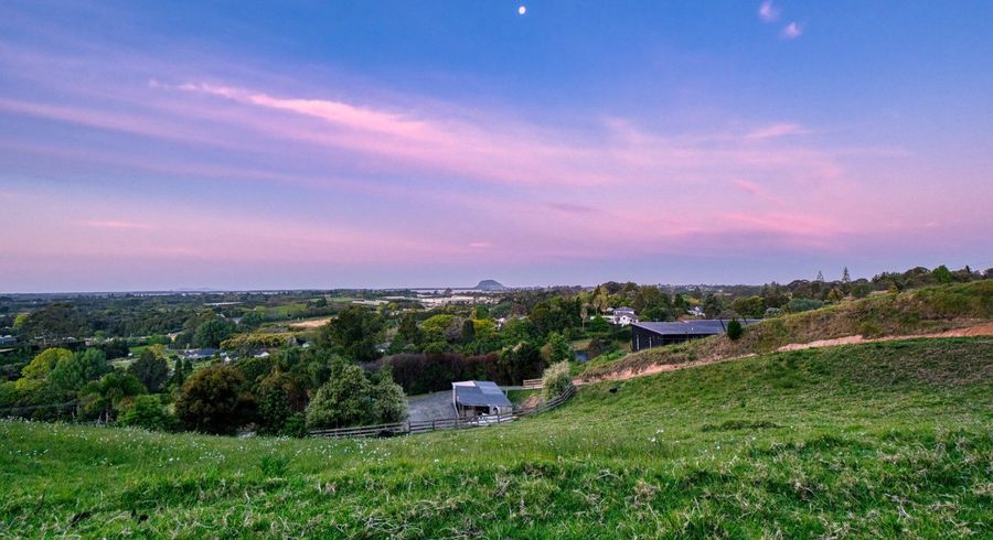  at 39 Corbett Drive, Te Puna, Western Bay Of Plenty, Bay Of Plenty