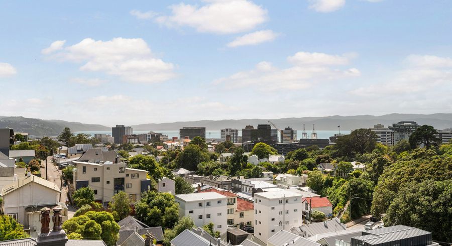  at 6/24 Patanga Crescent, Thorndon, Wellington, Wellington