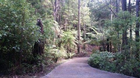  at 19 Hobson Road, Lucas Heights, Auckland