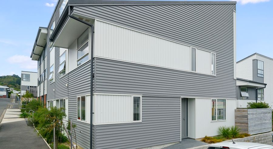  at 1/24 Princess Terrace, Newtown, Wellington