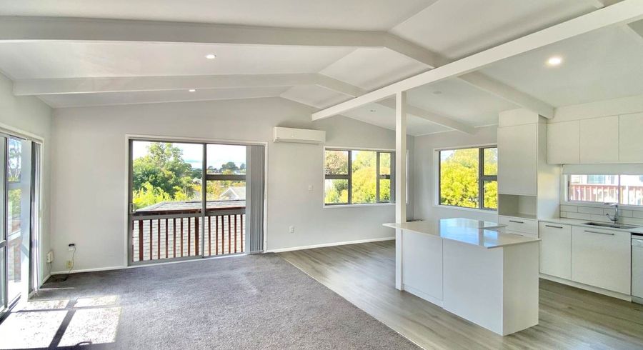  at 46 Udys Road, Pakuranga, Manukau City, Auckland