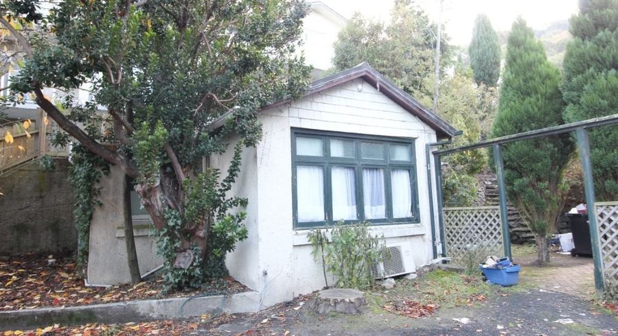 at 46 Park Street, North Dunedin, Dunedin, Otago