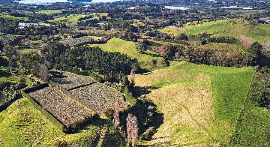  at 400 Old Highway, Whakamarama, Western Bay Of Plenty, Bay Of Plenty