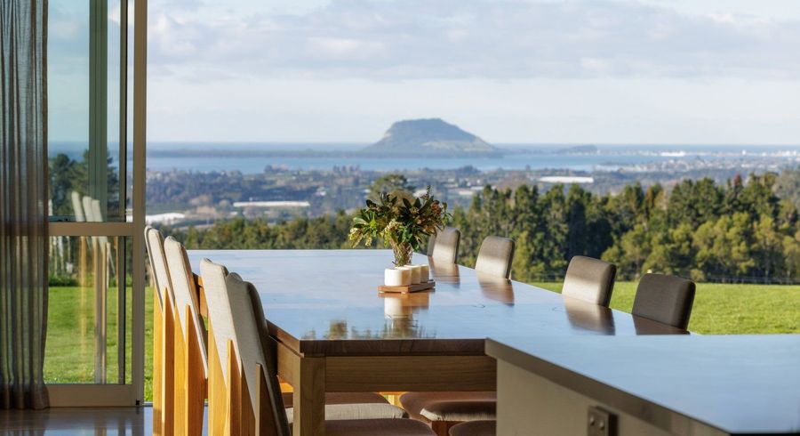  at 299 WHAKAMARAMA ROAD, Whakamarama, Bay Of Plenty