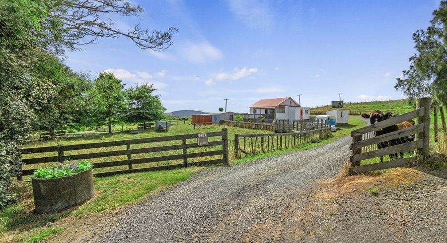  at 254 Wattle Road, Whangamarino, Te Kauwhata