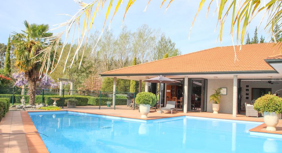  at 41 Equestrian Lane, Bridge Pa, Hastings