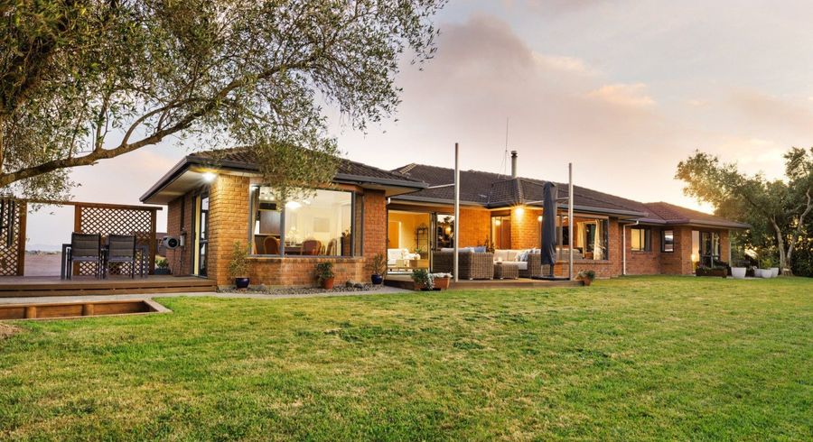  at 19 Castleton Way, Flagstaff, Hamilton
