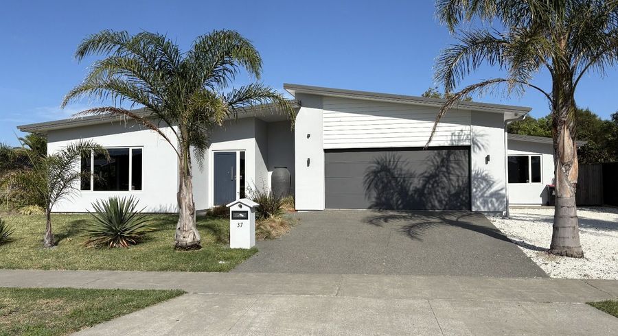  at 37 Pohutukawa Drive, Bay View, Napier, Hawke's Bay