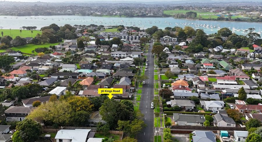  at 36 Kings Road, Panmure, Auckland