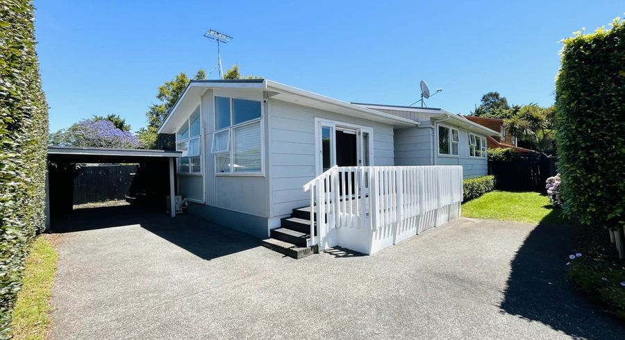  at 17A Jason Avenue, Sandringham, Auckland City, Auckland