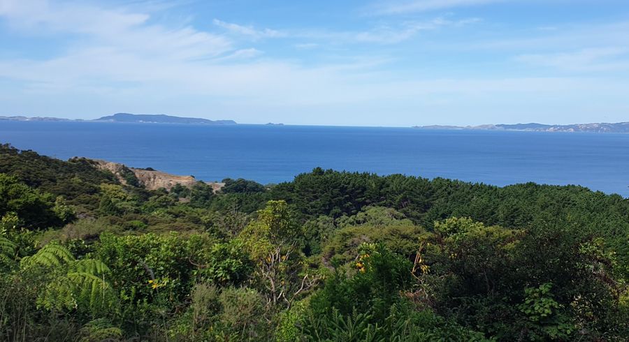  at 492 Tuateawa Road, Coromandel, Thames-Coromandel, Waikato