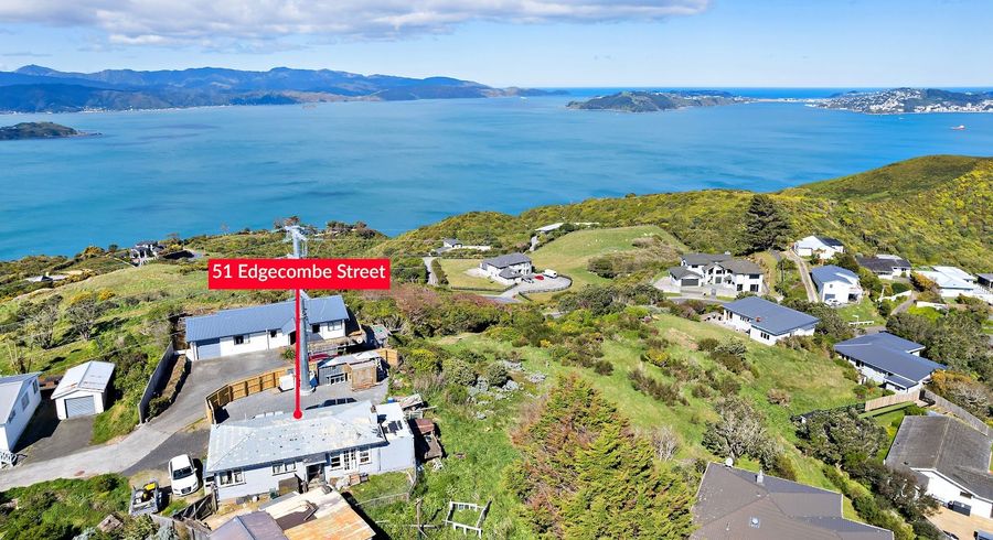  at 51 Edgecombe Street, Newlands, Wellington, Wellington