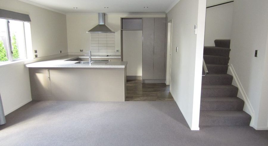  at 14 Stadium Lane, Whitiora, Hamilton