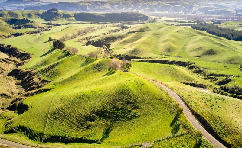  at 501 Kawera Road, Okawa, Hastings