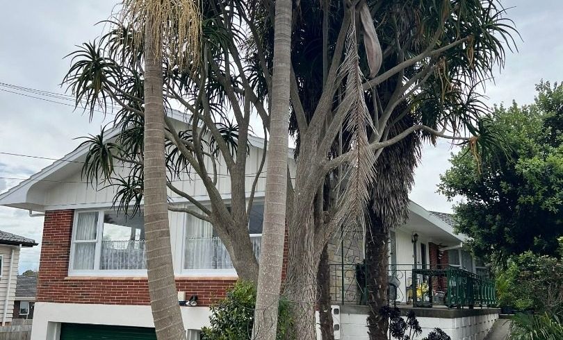 at 9 Lochinver Road, Papatoetoe, Manukau City, Auckland