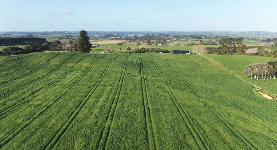  at 41 McNaughten Rd, Waiuku, Franklin, Auckland