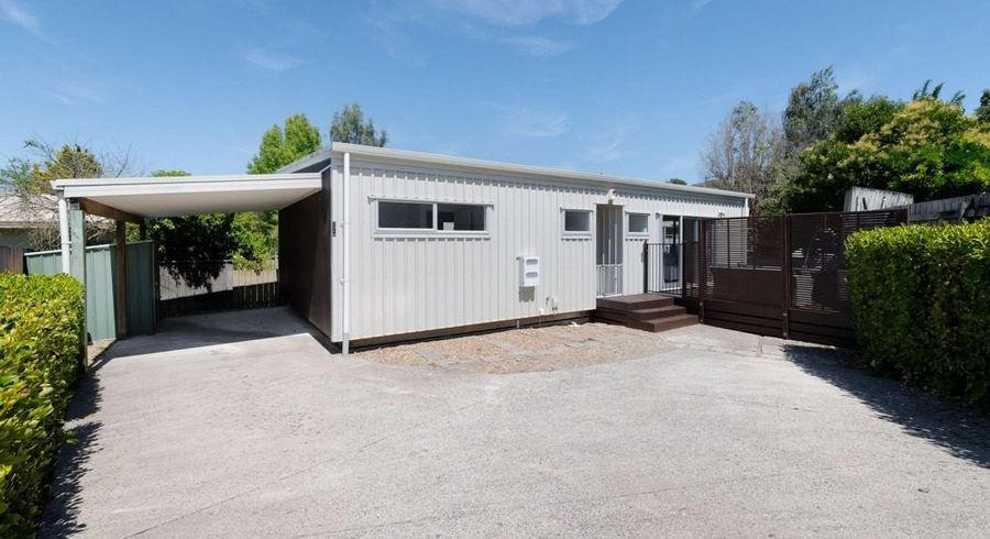 at 17B Carey Street, Maeroa, Hamilton, Waikato