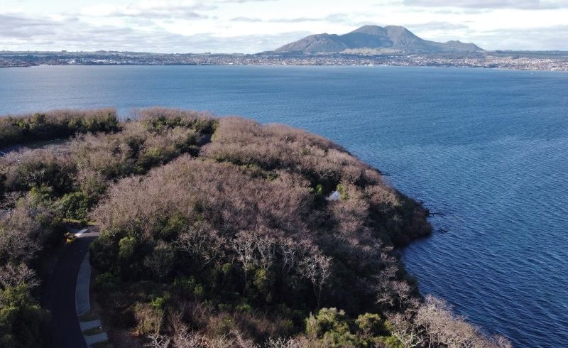  at 75 Parawera Drive, Acacia Bay, Taupo