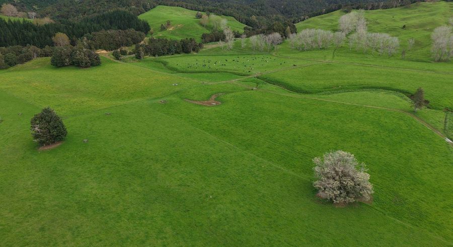  at 3675 Mangakahia Road, Pakotai, Whangarei, Northland