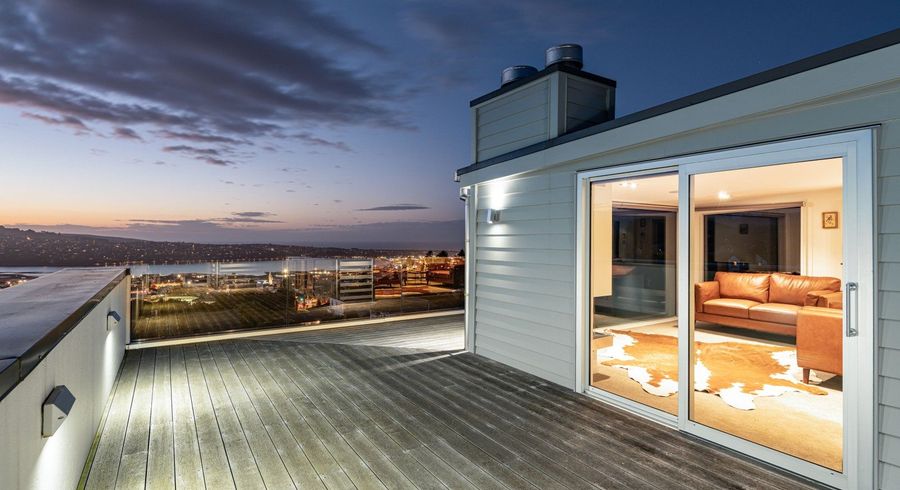  at 29 Selkirk Street, Roslyn, Dunedin, Otago