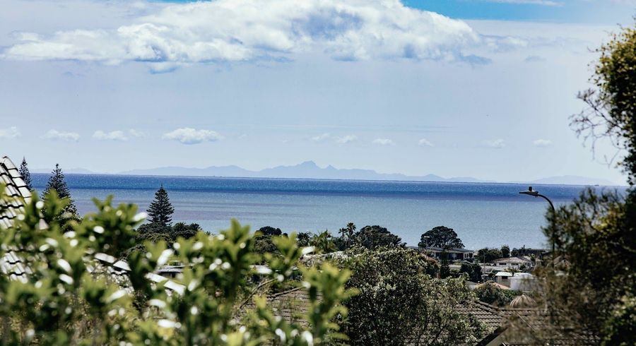  at 88 Grovenor Drive, Orewa, Rodney, Auckland