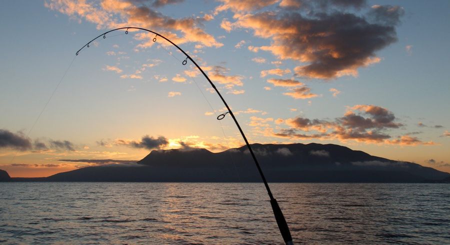  at 483 Spencer Road, Lake Tarawera, Rotorua, Bay Of Plenty