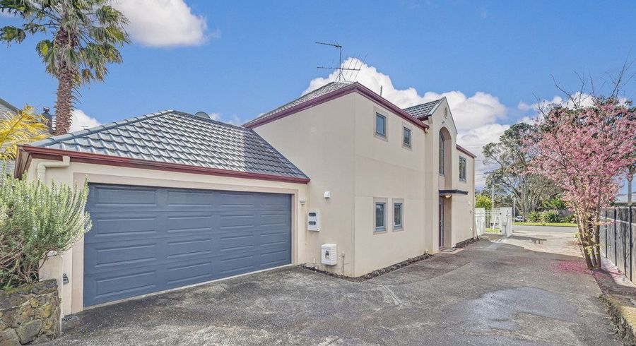  at 19 Horotutu Street, Greenlane, Auckland City, Auckland