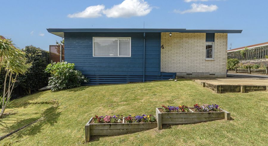  at 101 Laurence Street North, Gate Pa, Tauranga, Bay Of Plenty