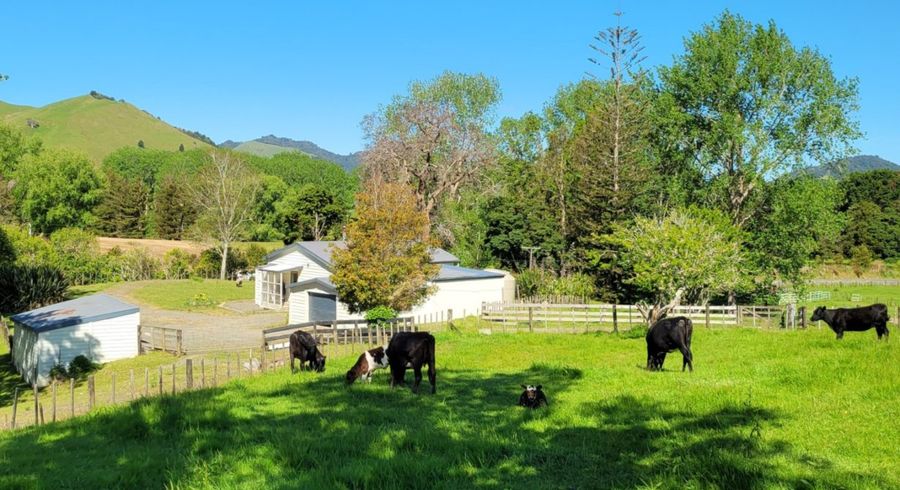  at 590 Murray Road, Tangowahine, Kaipara, Northland