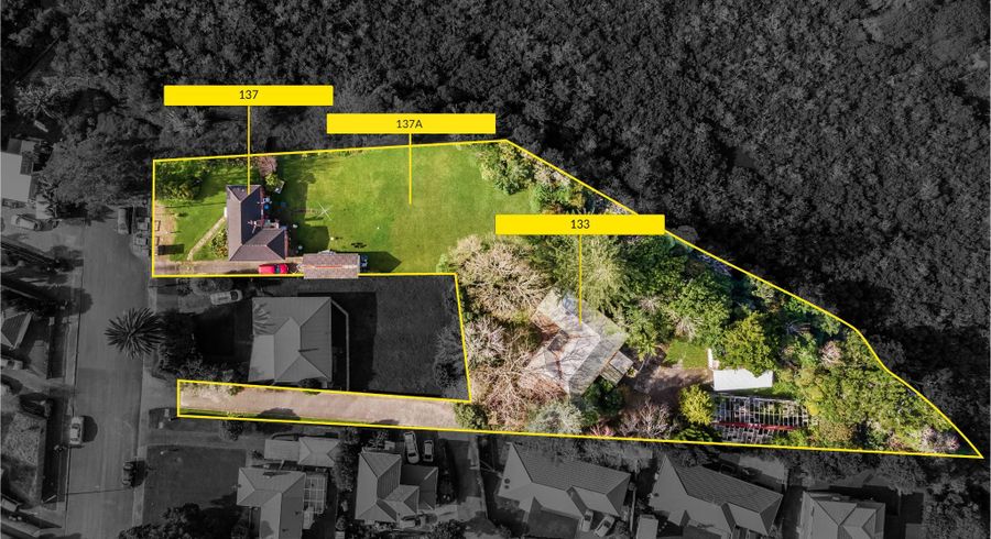  at 133/137 & 137A Luke Street East, Otahuhu, Auckland City, Auckland