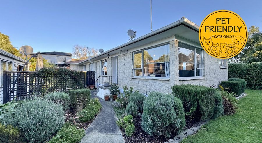  at 40 Walter Strevens Drive, Takanini, Papakura, Auckland