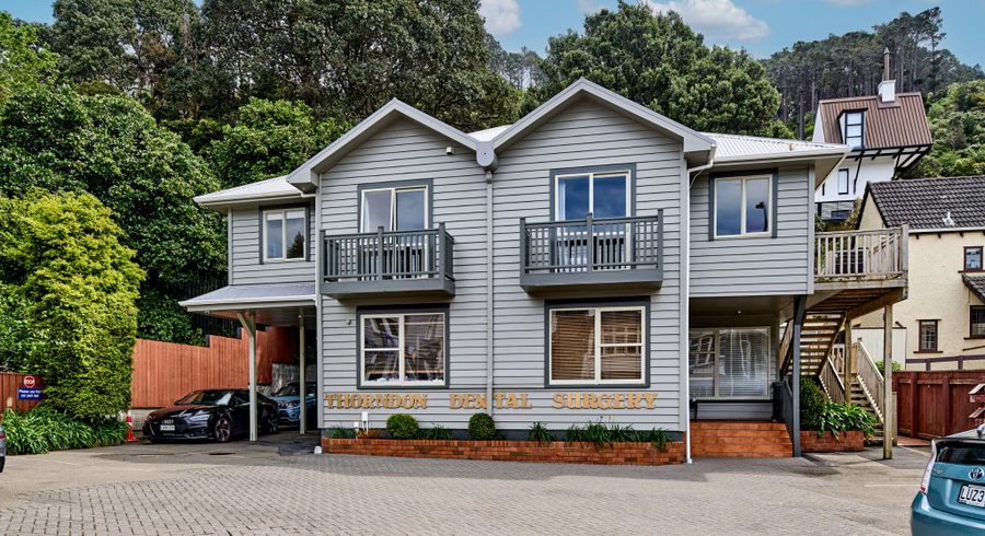  at 246 Tinakori Road, Thorndon, Wellington, Wellington