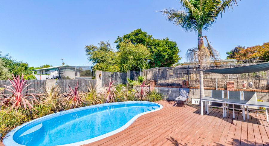  at 4 Rembrandt Place, Opaheke, Papakura