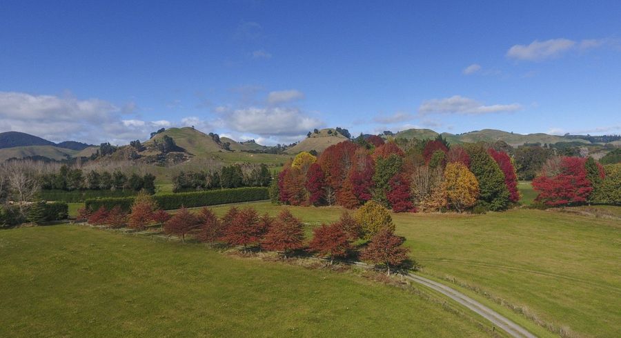  at 21 Mangatete Road, Waikite Valley, Rotorua