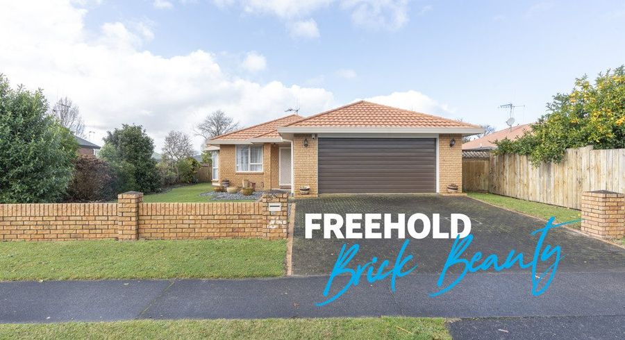  at 29 Lloyd Drive, Nawton, Hamilton