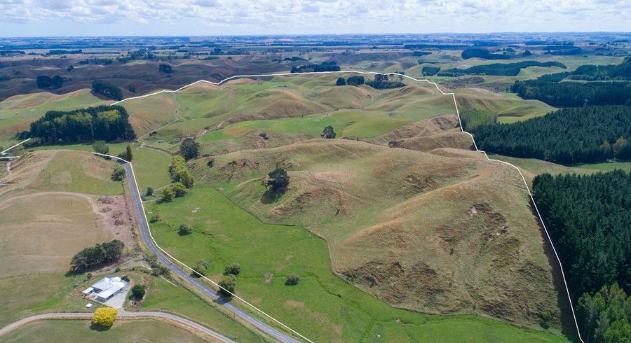  at 551 Valley Road, Colyton, Manawatu, Manawatu / Whanganui