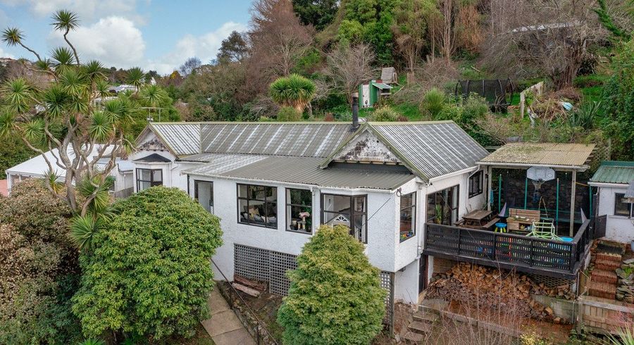  at 56 Peter Street, Caversham, Dunedin, Otago