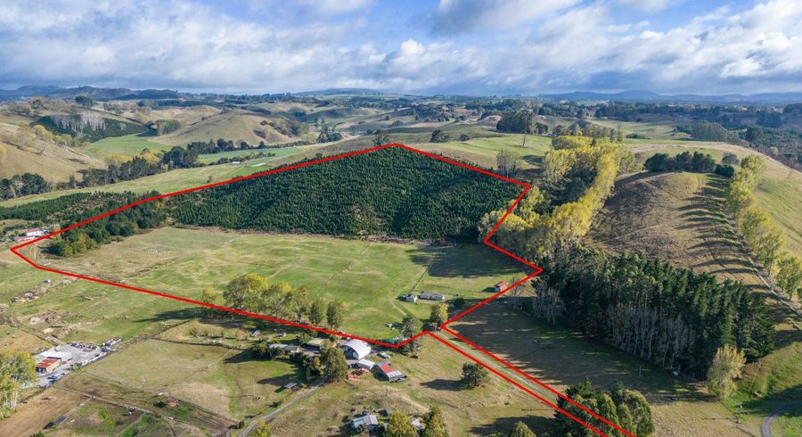  at 201 State Highway 5, Wairakei, Taupo, Waikato