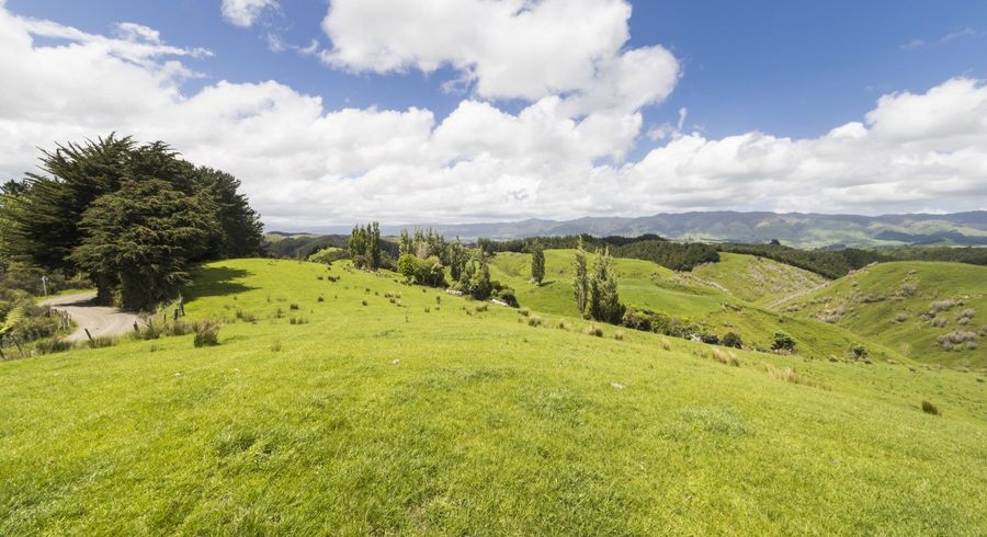  at 0 Finnis Road, Pohangina, Ashhurst