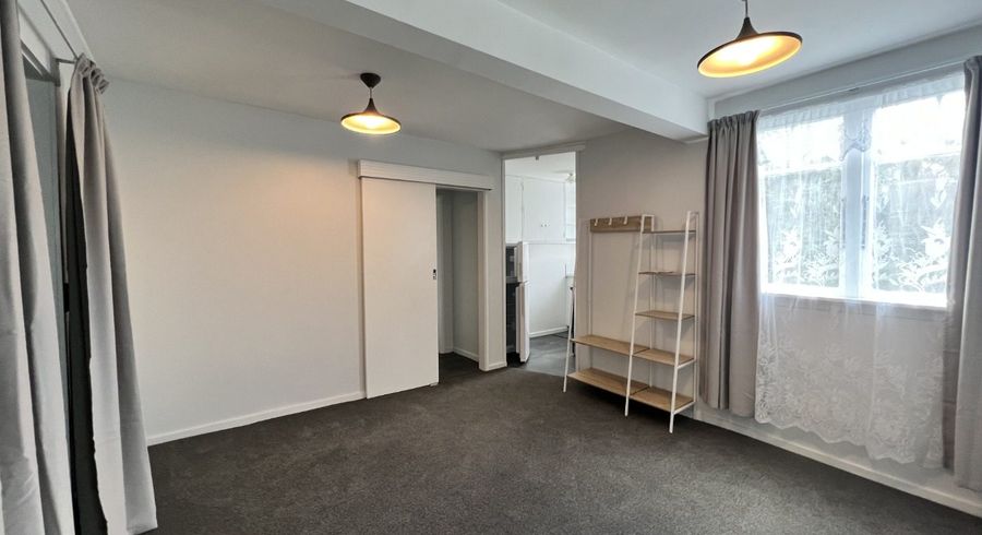  at 1/29 Arlington Street, Mount Cook, Wellington, Wellington