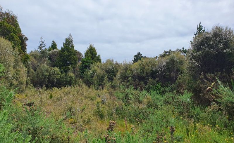  at 18 Sanctuary Place, Kumara Junction, Greymouth